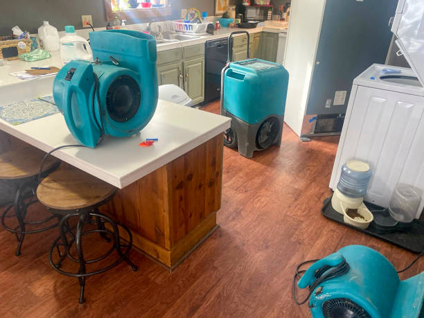 Best Water damage restoration specialists  in Bel Air South, MD