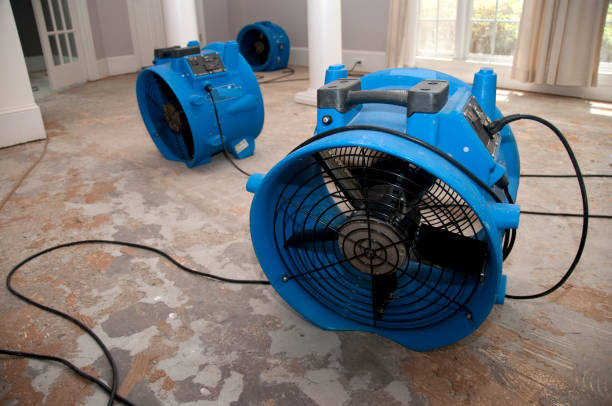 Best Fire Damage Restoration  in Bel Air South, MD