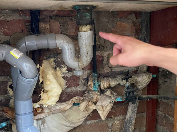Best 24/7 water damage repair  in Bel Air South, MD
